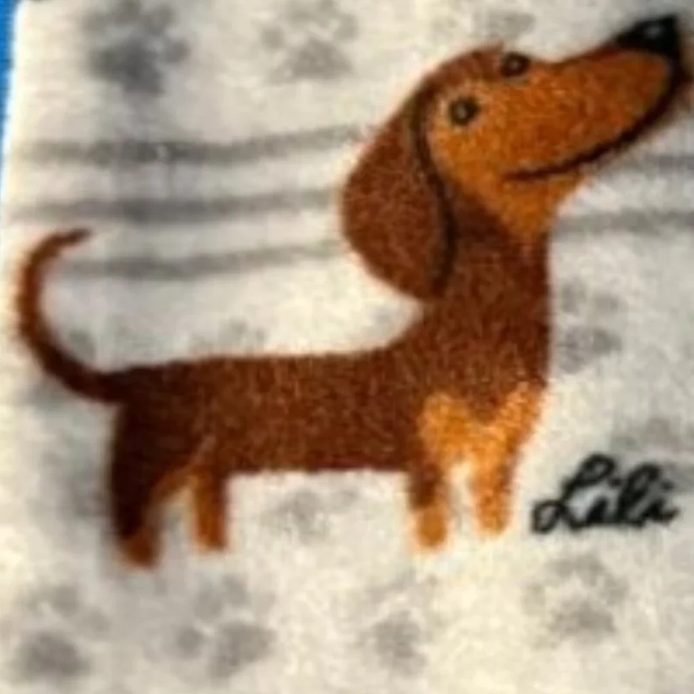 BRAND NEW DACHSHUND / DOXIE / WEINER WEENIE DOG 60